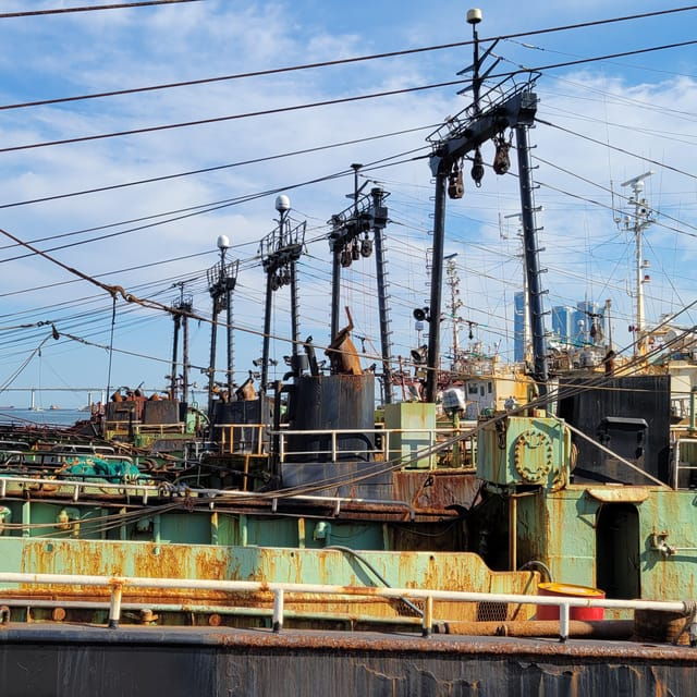 private-tour-to-busan-the-marseille-of-korea