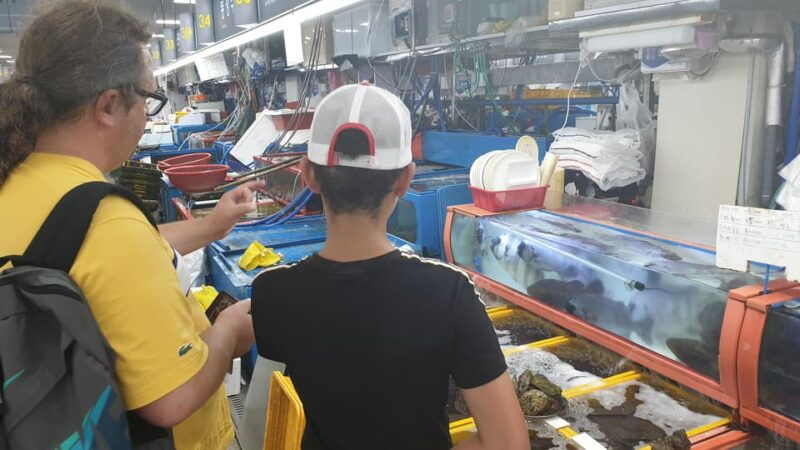 private-tour-to-busan-the-marseille-of-korea