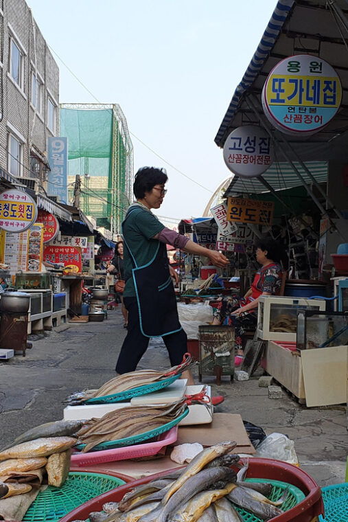 private-tour-to-busan-the-marseille-of-korea