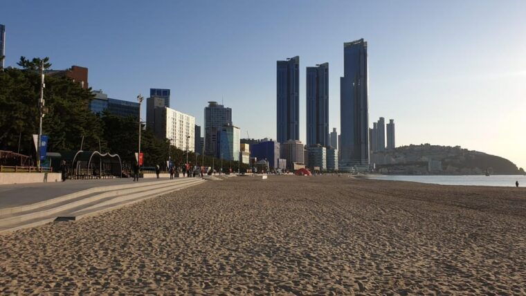 private-tour-to-busan-the-marseille-of-korea