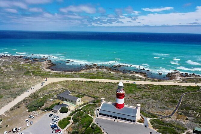 Private Tour to Cape Agulhas Full Day from Cape Town - The Itinerary Breakdown: What to Expect