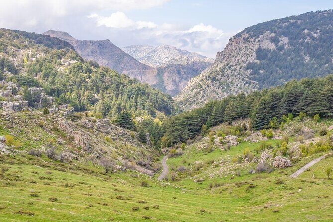 PRIVATE Tour to Cedars of God, Besharre & Qozhaya Valley - FAQ