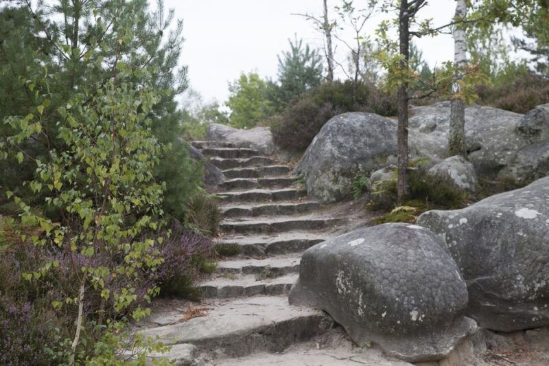 private-tour-to-chateaux-of-fontainebleau-from-paris