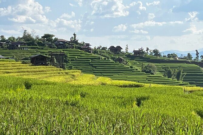Private Tour to Chiang Mai Rice Terraces and National Park - A Closer Look at the Itinerary