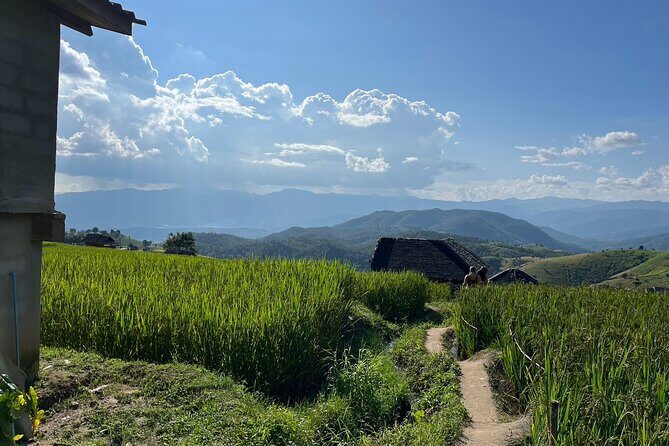 Private Tour to Chiang Mai Rice Terraces and National Park - Authentic Experiences and Honest Insights from Reviewers