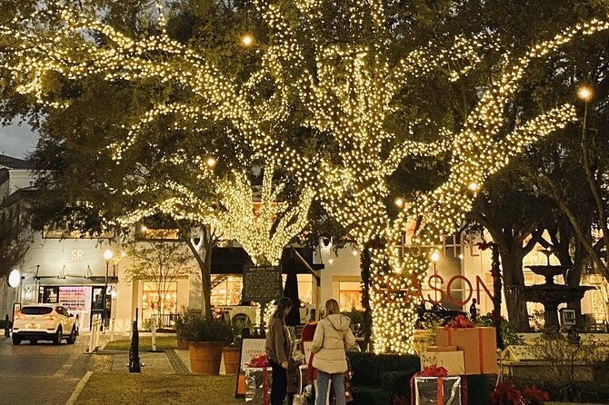 private-tour-to-christmas-winter-village-bayshore-and-hyde-park-2