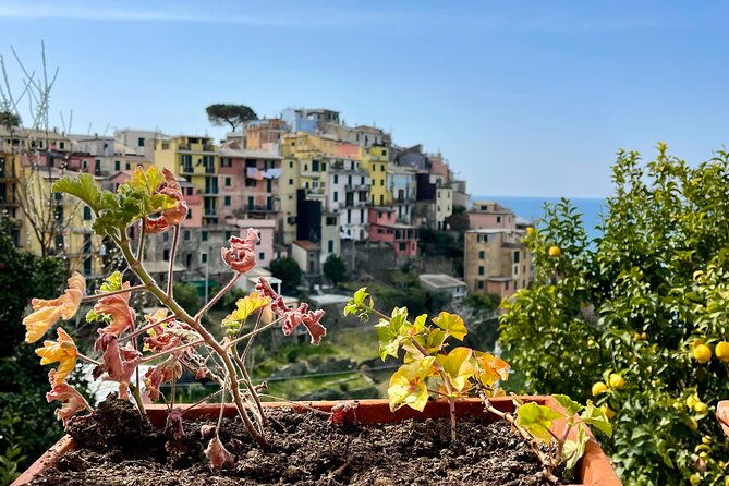 private-tour-to-cinque-terre