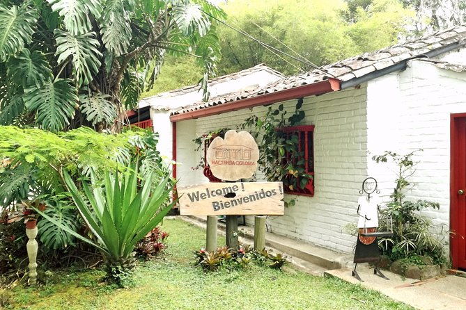 private-tour-to-coffee-farm-hacienda-coloma-tickets-guide-8hr