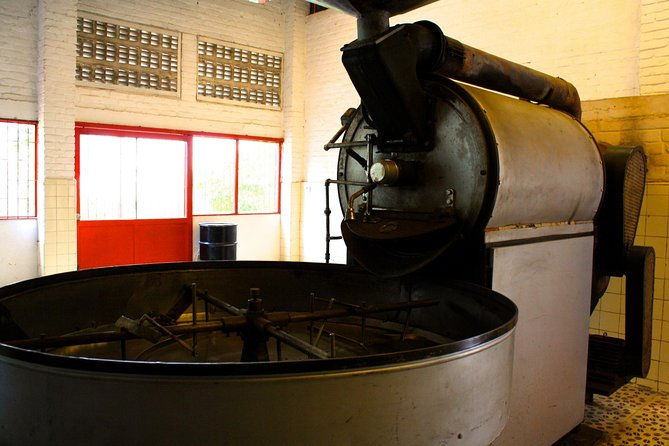 private-tour-to-coffee-farm-hacienda-coloma-tickets-guide-8hr