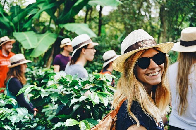 private-tour-to-coffee-farm-hacienda-coloma-tickets-guide-8hr