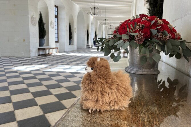 private-tour-to-cognac-a-delight-for-discerning-gourmets