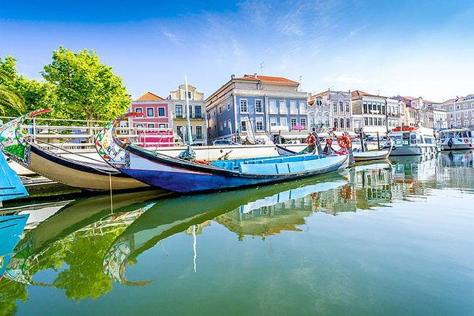 private-tour-to-coimbra-aveiro-and-costa-nova