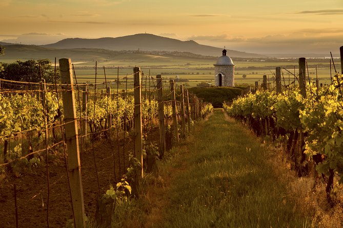 private-tour-to-czech-wine-regions-lednice-and-valtice