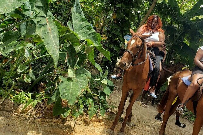 private-tour-to-dunns-river-and-horseback-riding-with-local-guide