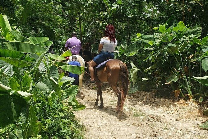 private-tour-to-dunns-river-and-horseback-riding-with-local-guide
