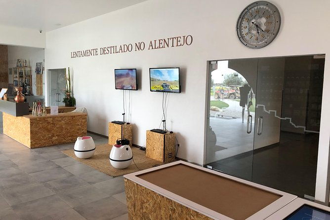 private-tour-to-evora-with-optional-wine-tasting-in-the-cartucha