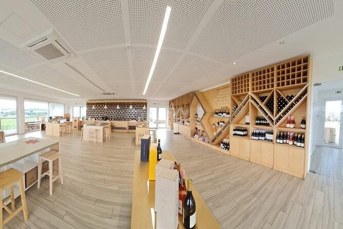 private-tour-to-evora-with-wine-tasting-unesco-world-heritage