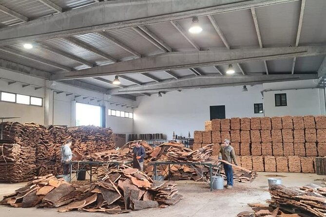 private-tour-to-evora-with-wine-tasting-unesco-world-heritage