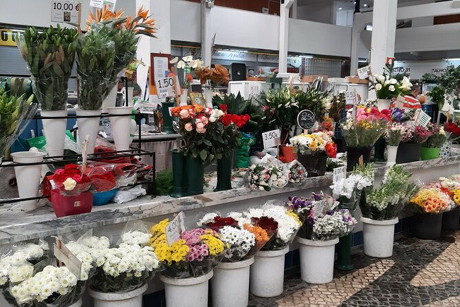 private-tour-to-factory-of-tiles-setubal-and-evora-from-lisboa