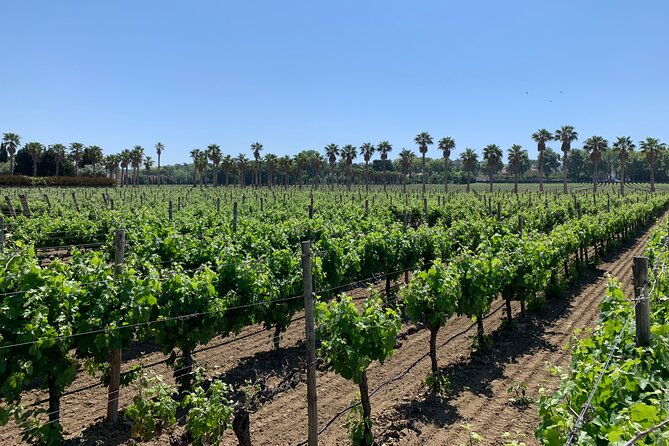 private-tour-to-fatima-nazare-and-obidos