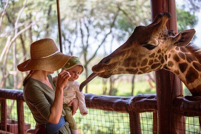Private Tour To Giraffe Centre in Nairobi - The Educational and Conservation Aspect