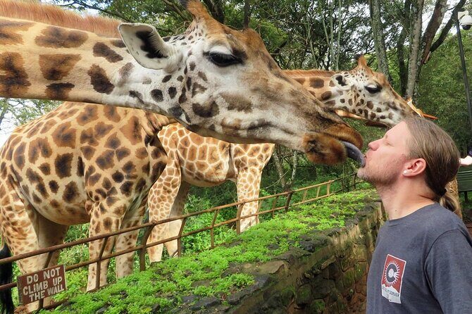 Private Tour To Giraffe Centre in Nairobi - Authenticity and Guides
