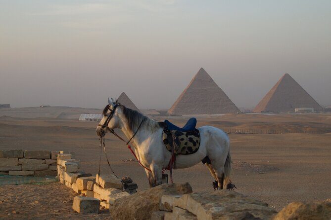 Private tour to Giza Pyramids, Sphinx and Egyptian Museum - Final Thoughts