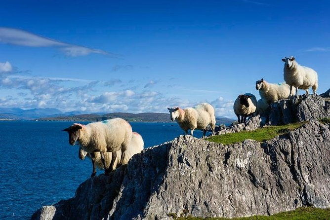 private-tour-to-gougane-barra-and-glengarriff