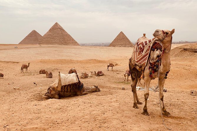 private tour to Grand Egyptian museum, Giza pyramids and lunch - Key Points