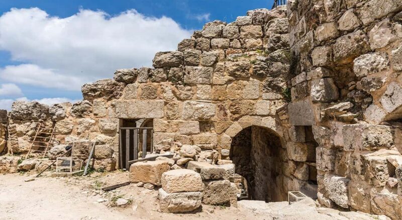 Private Tour to Jerash and Ajloun from Amman - Frequently Asked Questions