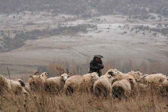 private-tour-to-kazbegi-from-tbilisi