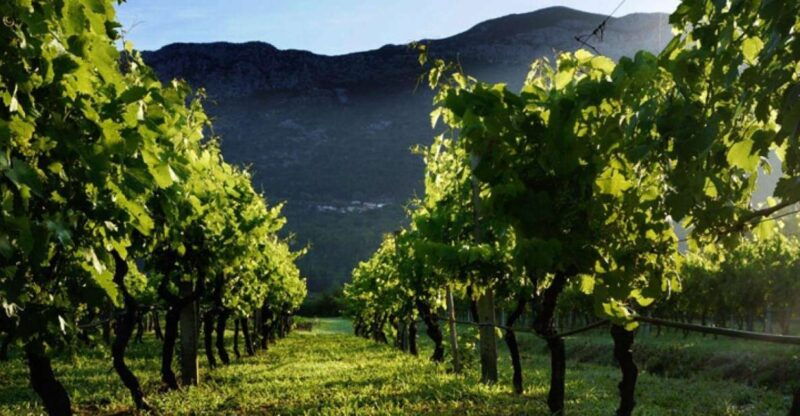 private-tour-to-konavle-valley-with-wine-tasting