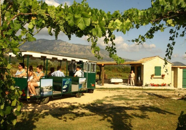 private-tour-to-konavle-valley-with-wine-tasting