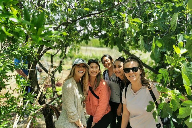 private-tour-to-krka-waterfalls-lunch-included