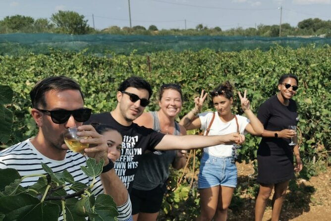 private-tour-to-krka-waterfalls-lunch-included