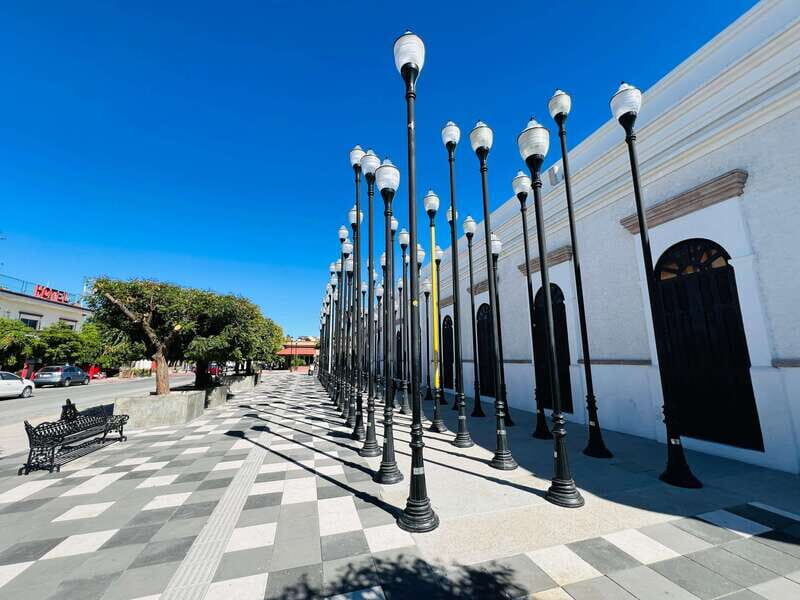 Private tour to La Paz, Balandra and Todos Santos from CABO - The Sum Up: Who Is This Tour Best For?