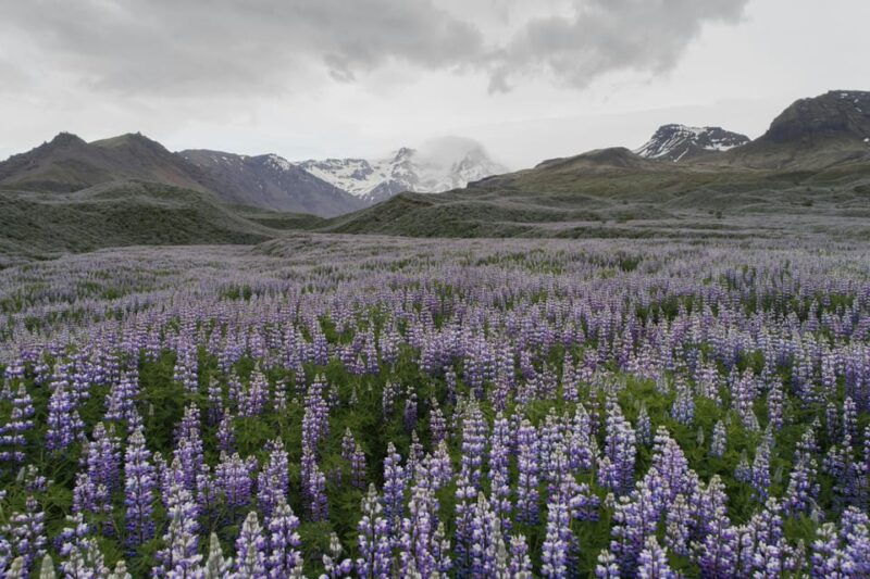 private-tour-to-landmannalaugar-explore-the-highlands