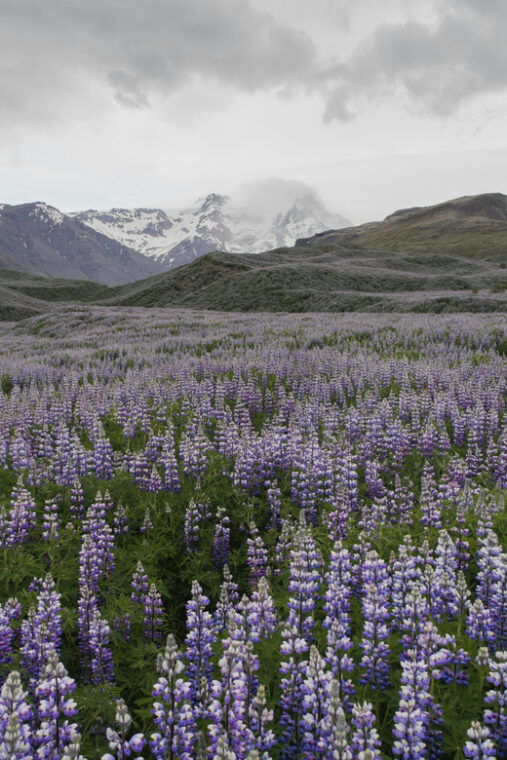 private-tour-to-landmannalaugar-explore-the-highlands