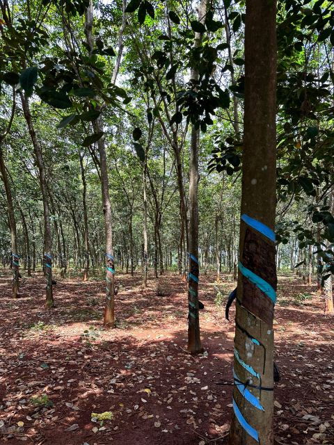 private-tour-to-long-tan-nui-dat-battle-field