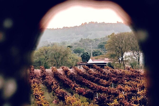private-tour-to-marvelous-setubal-the-pearl-of-sado