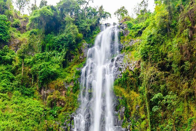 Private Tour to Materuni waterfalls, coffee tour & Kikuletwa hot- springs - Key Points