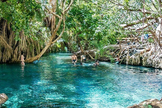 Private Tour to Materuni waterfalls, coffee tour & Kikuletwa hot- springs - First Impressions and Overall Value
