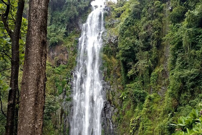 Private Tour to Materuni waterfalls, coffee tour & Kikuletwa hot- springs - Who Should Consider This Tour?