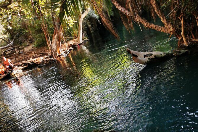 Private Tour to Materuni waterfalls, coffee tour & Kikuletwa hot- springs - Final Thoughts: Who Would Love This Tour?