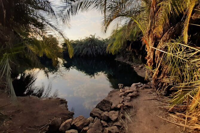 Private Tour to Materuni waterfalls, coffee tour & Kikuletwa hot- springs - FAQ