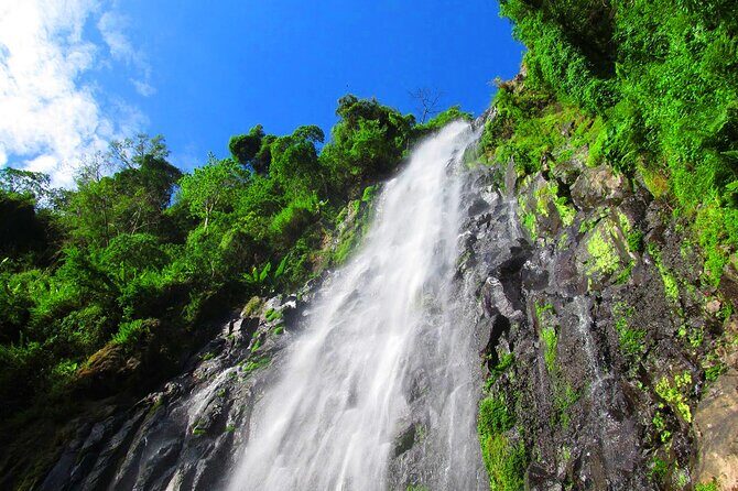 Private Tour to Materuni Waterfalls, coffee tour, Kikuletwa Hot Springs & Maasai - An In-Depth Look at the Tour Itinerary