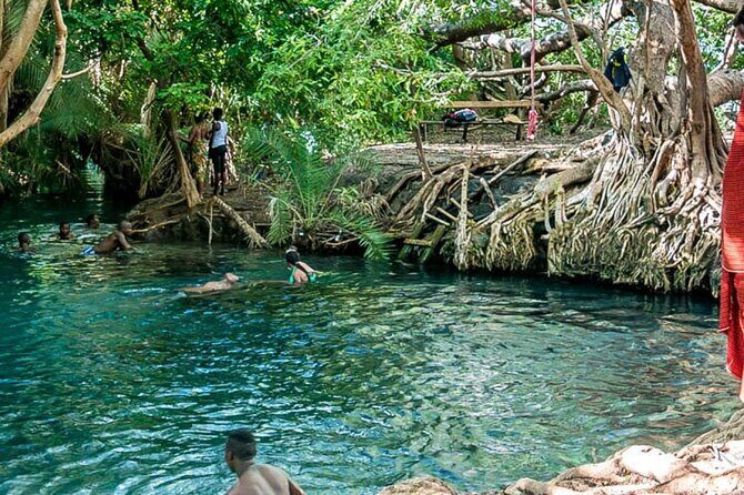 Private Tour to Materuni Waterfalls, coffee tour, Kikuletwa Hot Springs & Maasai - Who Should Consider This Tour?
