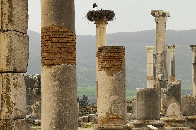 Private Tour To Meknes/ Volubilis/ Moulay Idriss From Fes - Considerations