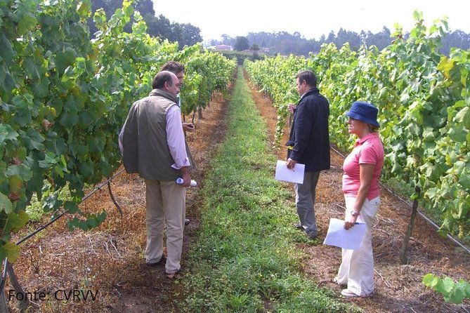 private-tour-to-melgaco-and-moncao-the-heart-of-the-alvarinho-region