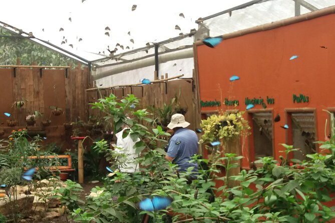 private-tour-to-mindo-with-hummingbird-reserve-tarabita-and-butterfly-farm